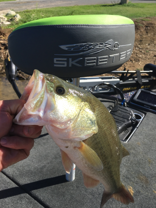 A photo of Kale Salmans's catch