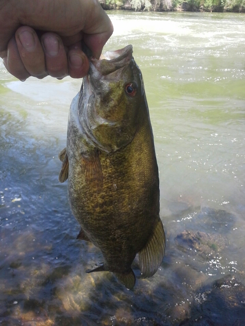 A photo of Mike P's catch