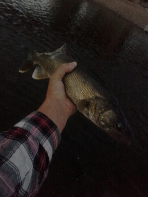 A photo of Mike P's catch