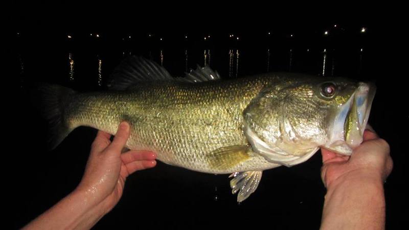 A photo of Steve Kenneth's catch