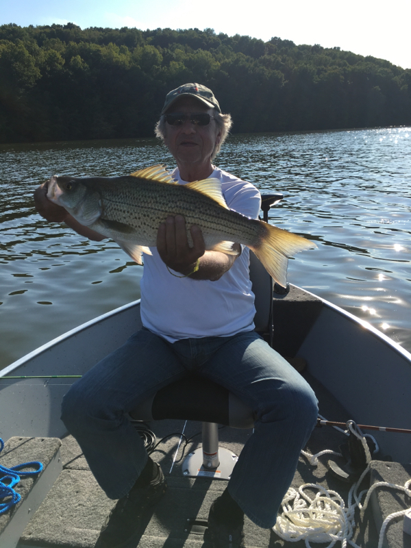 A photo of A Not's catch