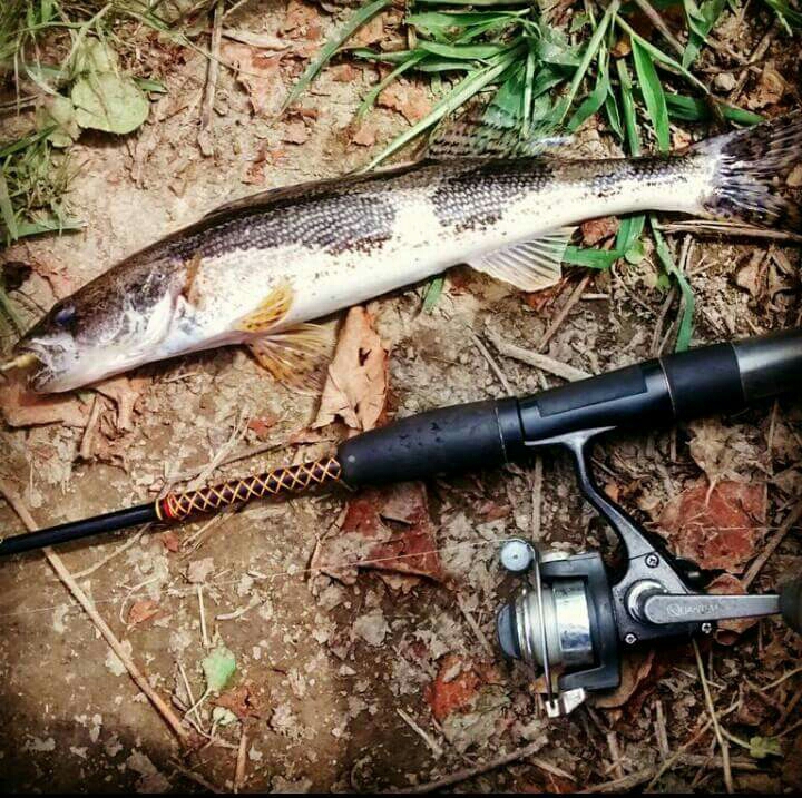 A photo of Bri Bri's catch