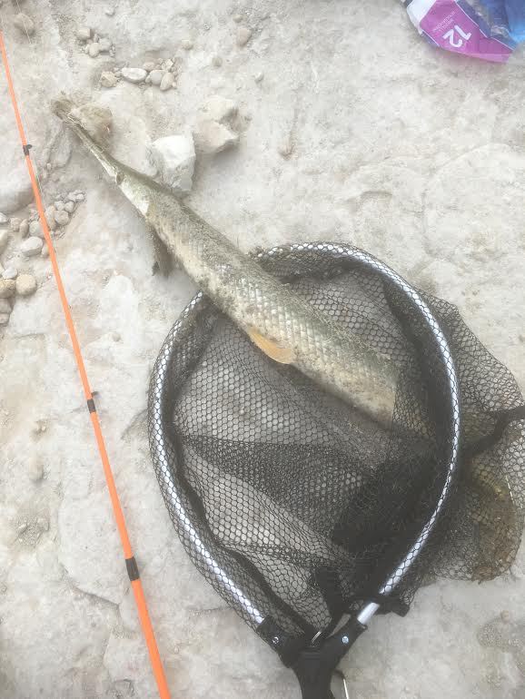 Granger Lake TX Fishing Reports, Map & Hot Spots