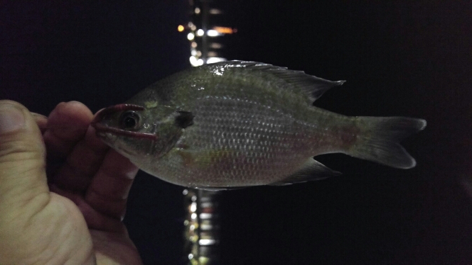 A photo of Larry Secrist's catch