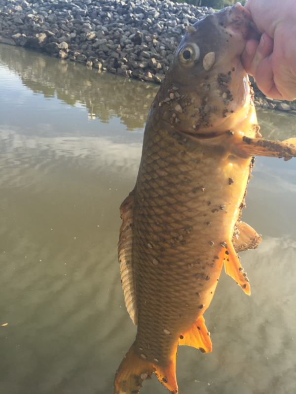 A photo of Lincoln Craigge's catch