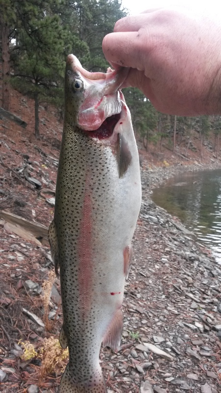 A photo of Steve Frooman's catch