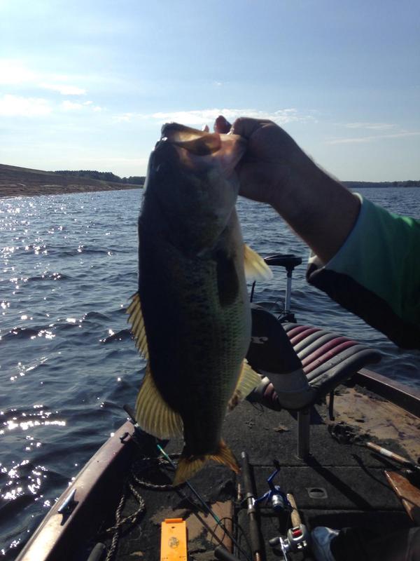 A photo of Ron Sullivan's catch