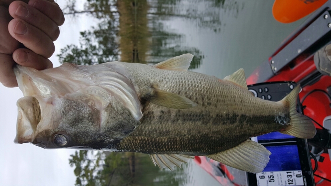 A photo of Eric Rappold's catch