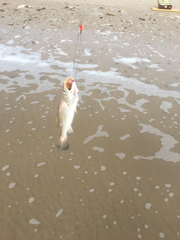 A photo of Mike Teroske's catch