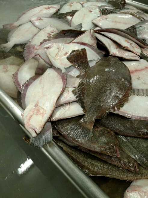A photo of Thomas Horn's catch