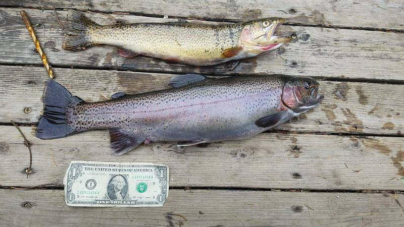 A photo of Tucker E.'s catch