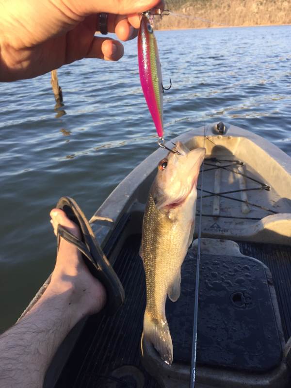 A photo of Andy Clyce's catch