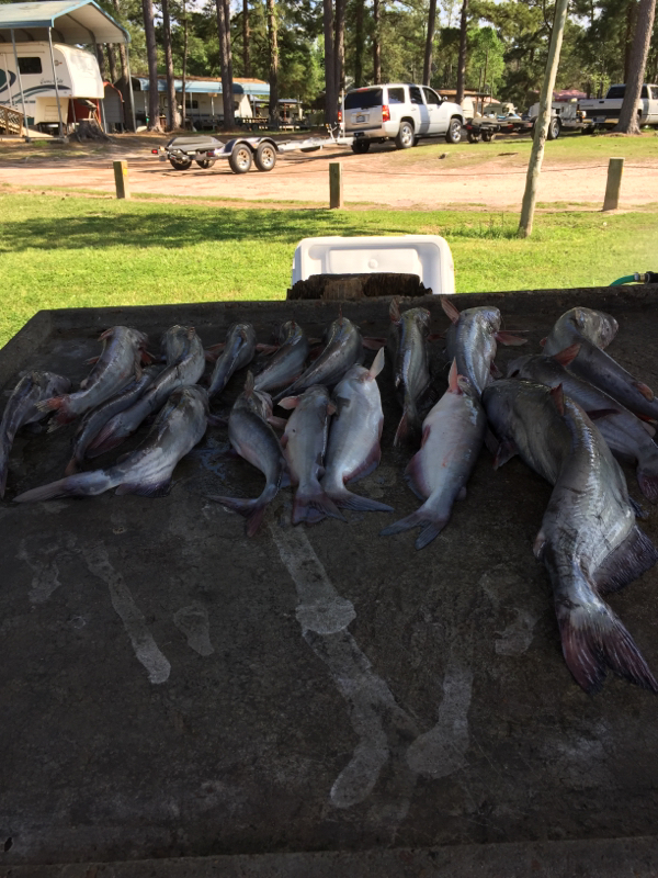 A photo of Cathy Martel 's catch