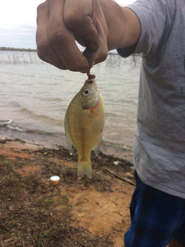 A photo of Michael Czawlytko's catch
