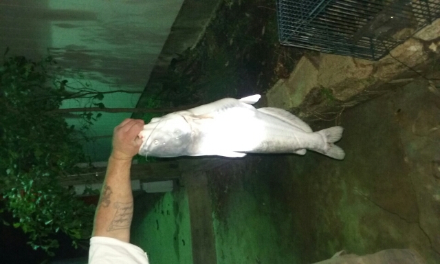 A photo of Hunter  Vick's catch