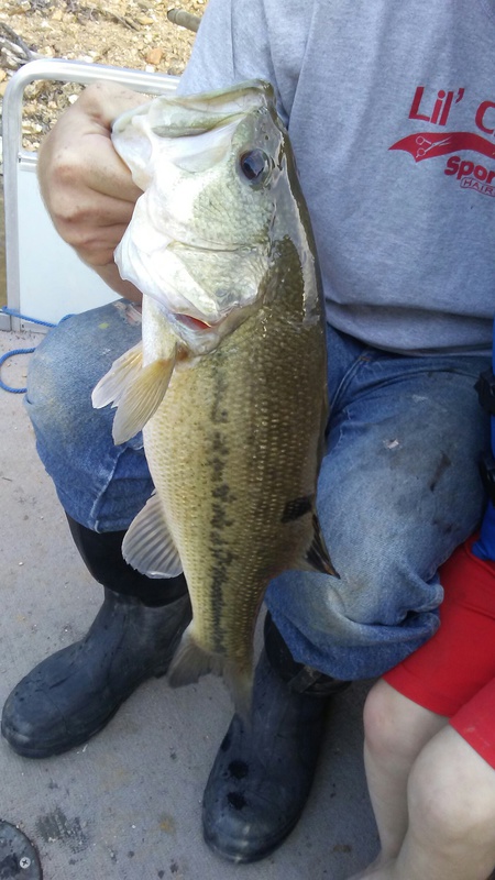 20+ Lake Ouachita Fishing Report