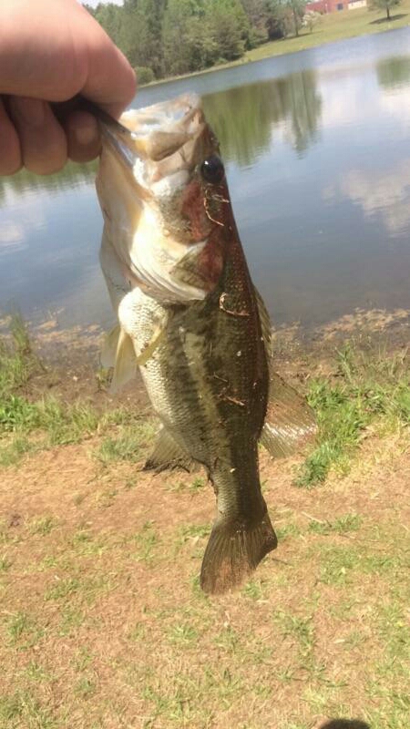 A photo of Bailey  Proctor's catch