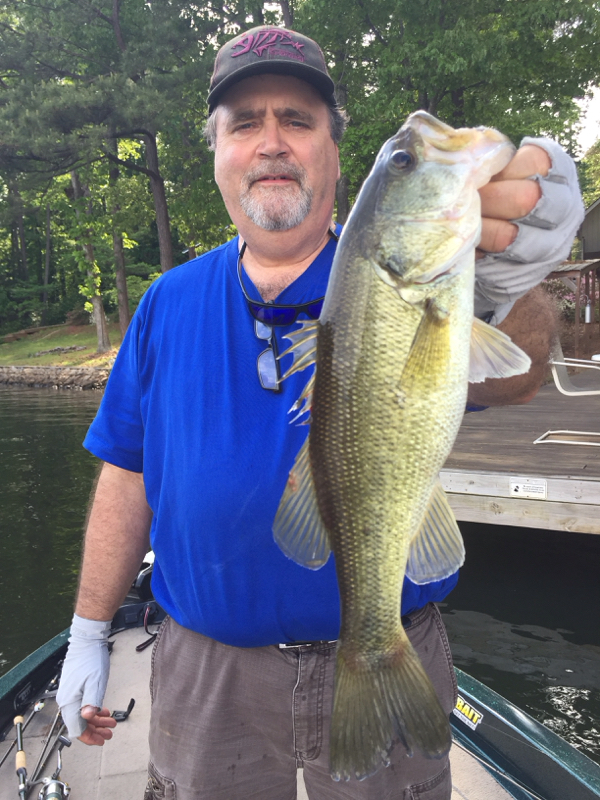 Caught a Largemouth Bass on Lake Gaston using a 5" stick bait