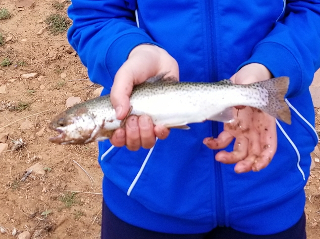 A photo of Bobby Bobs's catch