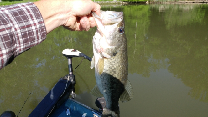 A photo of Calvin May's catch