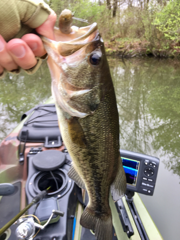 A photo of James Dinkel's catch