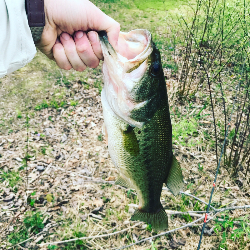 A photo of Pete Zimmer's catch