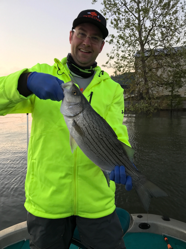 Lake Windsor Bella Vista Ar Fishing Report download free software Vue