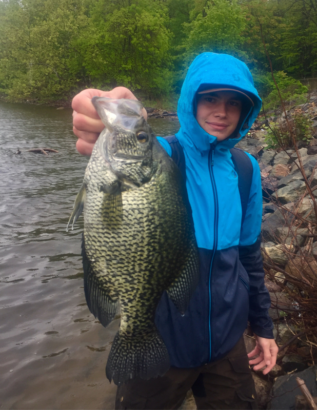 A photo of William Sivertsson 's catch