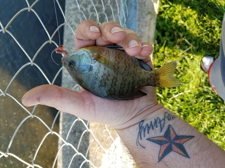 A photo of jake stauffer's catch