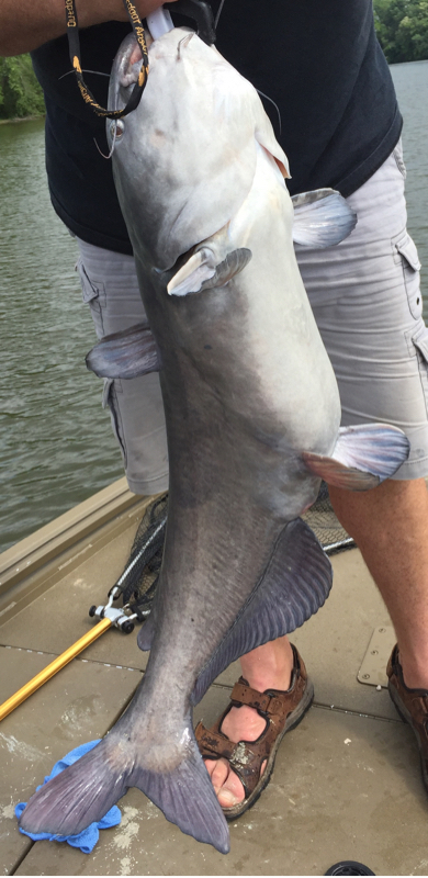 A photo of Jennifer  Huie 's catch
