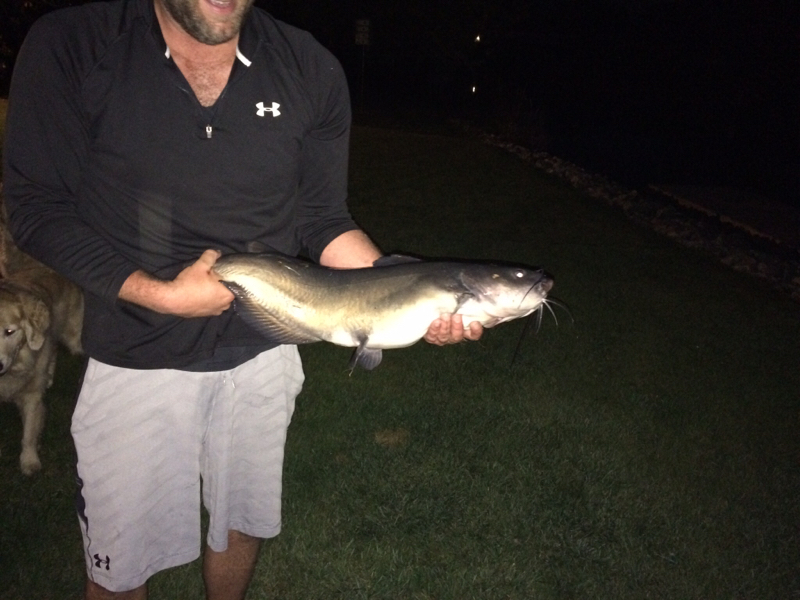 A photo of Mitch Anderson's catch