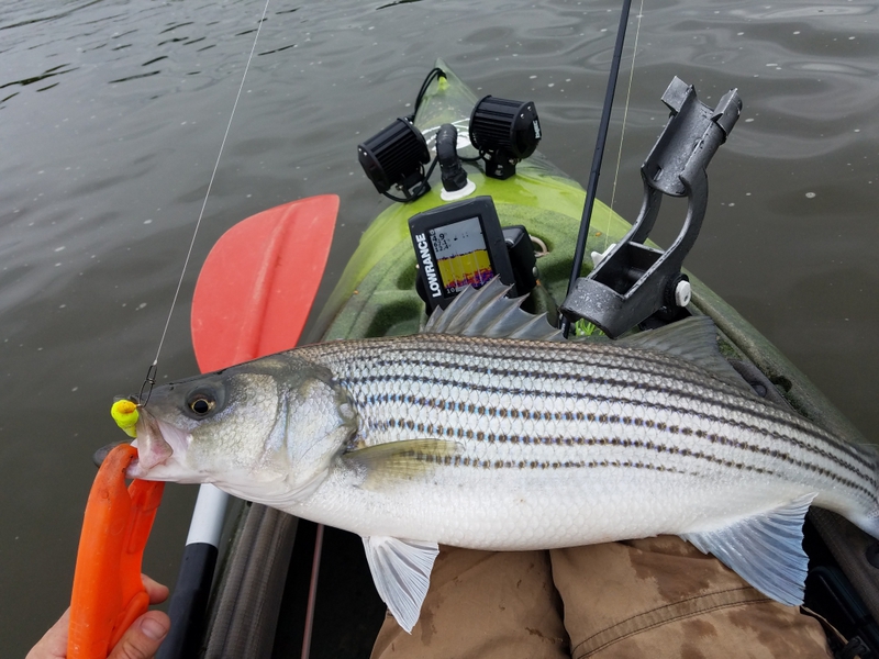 A photo of Fish Burgh's catch