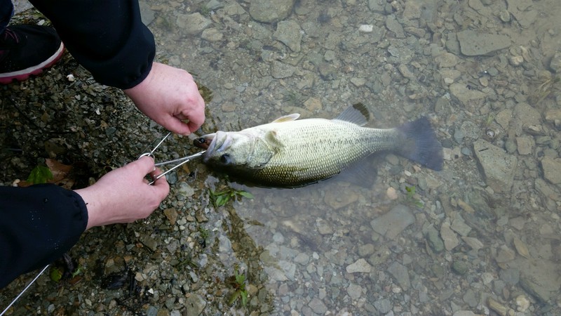 A photo of Karina Wentz's catch
