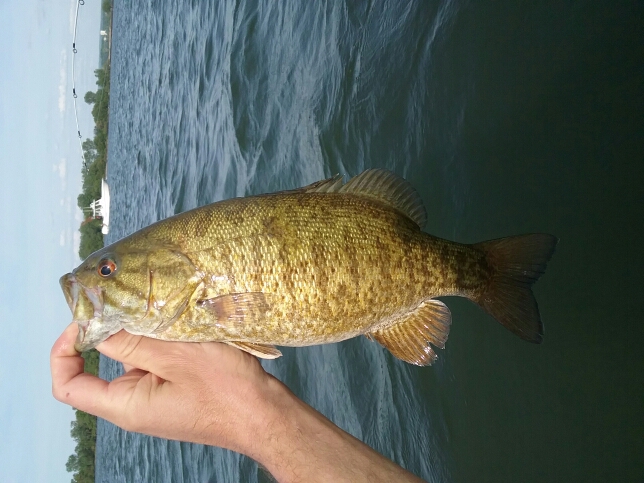 A photo of Bryan Nothdurft's catch