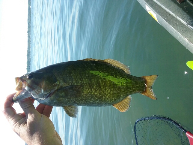 A photo of Bryan Nothdurft's catch