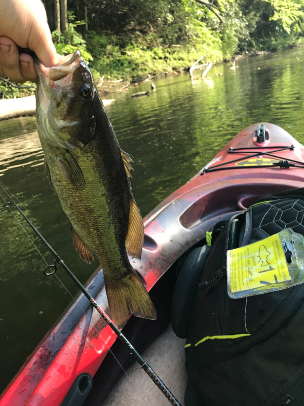 A photo of Reese Scott 's catch