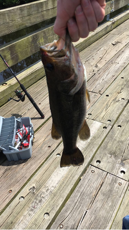 A photo of Garrett Deman's catch