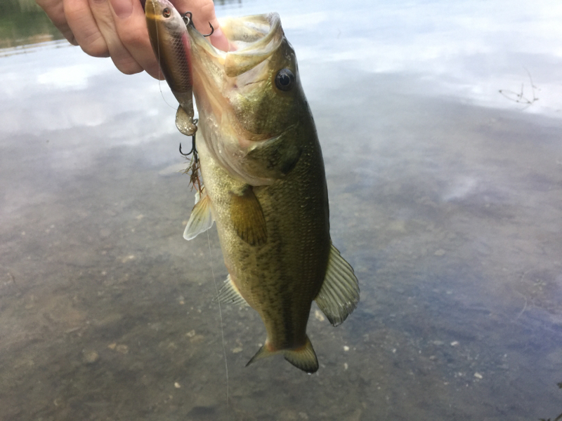A photo of Charles Kline's catch