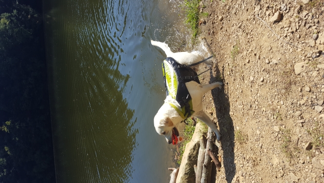 A photo of Ashton Catracchia's catch