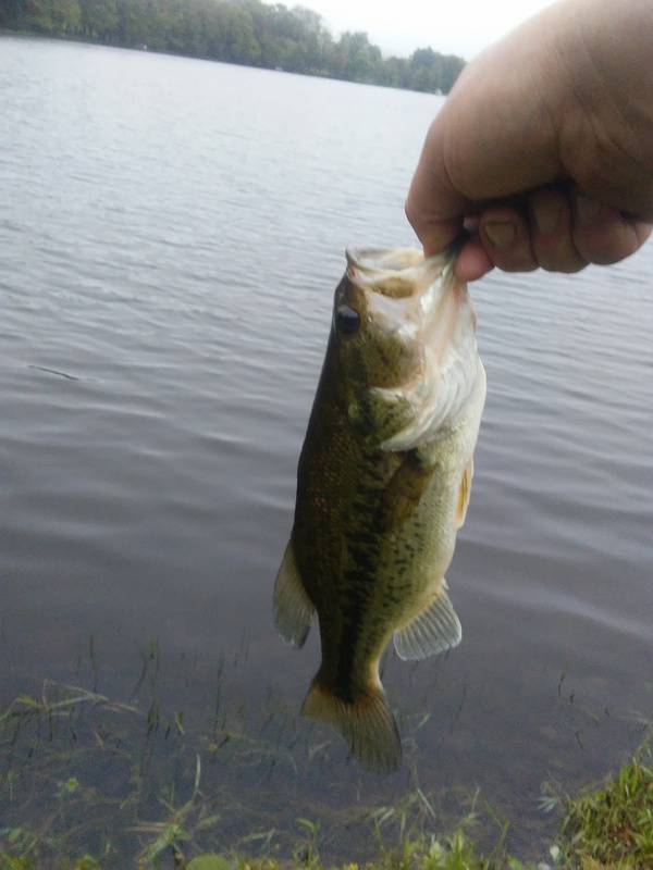A photo of josh willoughby's catch