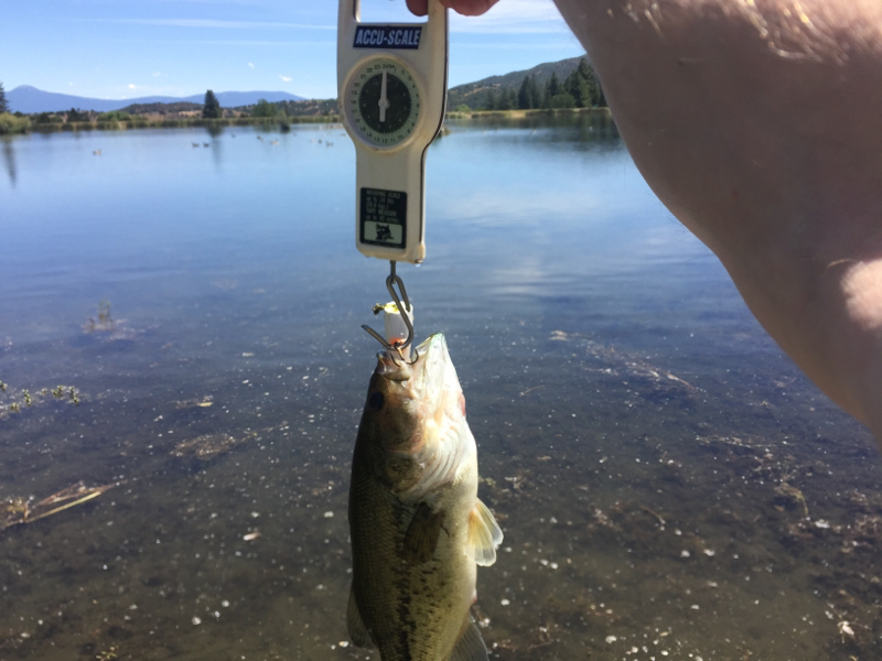A photo of Charles Kline's catch