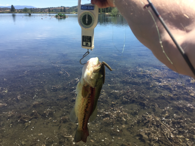 A photo of Charles Kline's catch