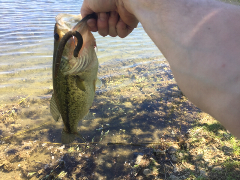 A photo of Charles Kline's catch