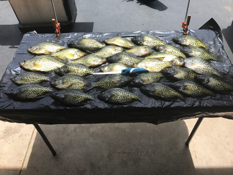 19+ Lake Delavan Fishing Report