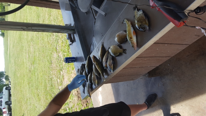 A photo of Nicholas Trampe's catch