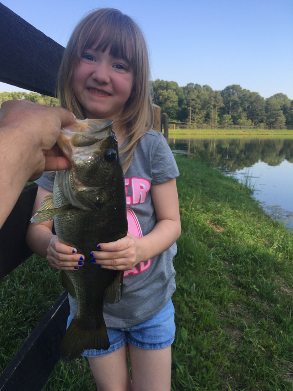 A photo of Justin  Morris 's catch
