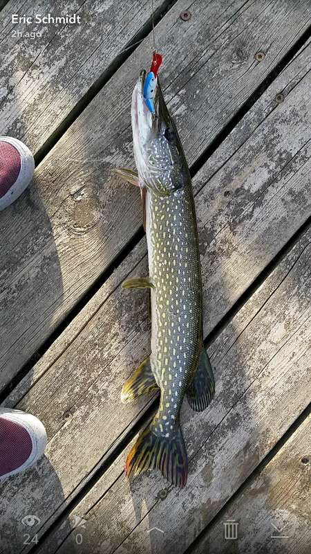A photo of Eric Schmidt's catch
