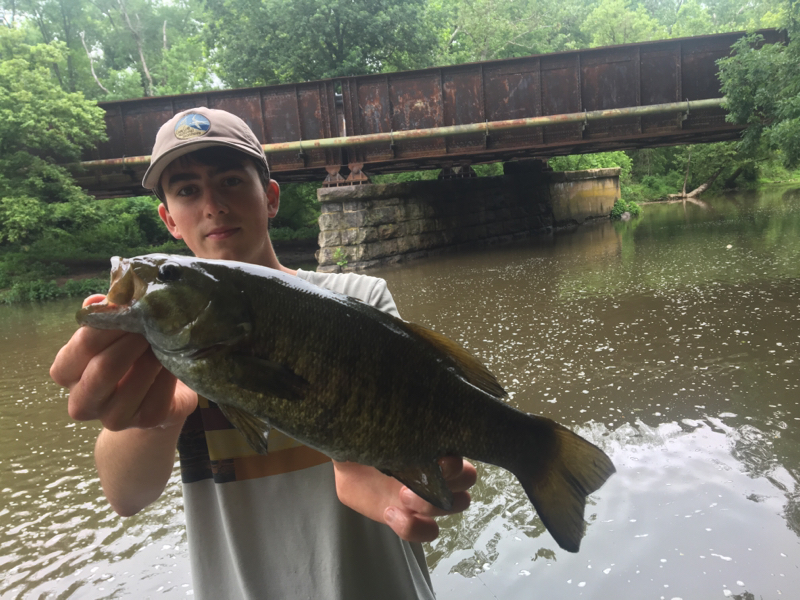 A photo of Skye Verrusio 's catch
