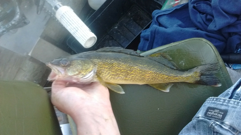 A photo of Dan glaser's catch