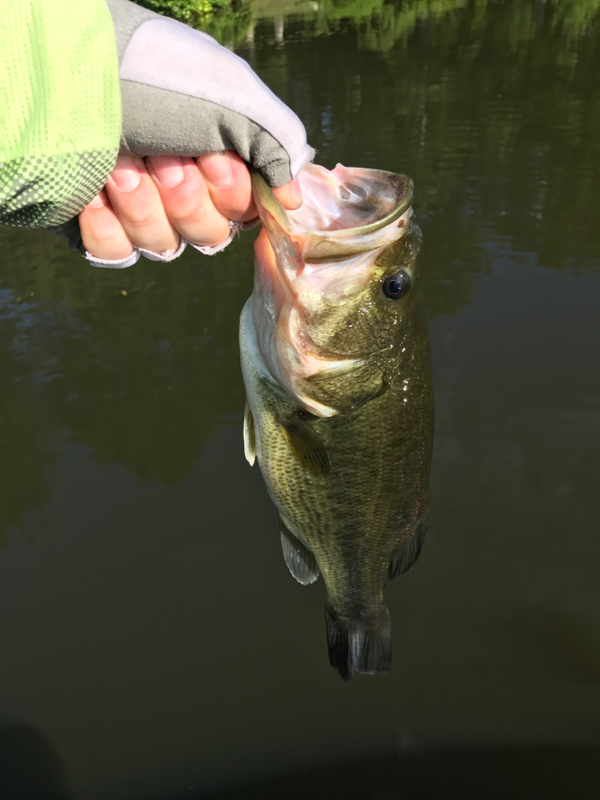 A photo of Chris Miller's catch